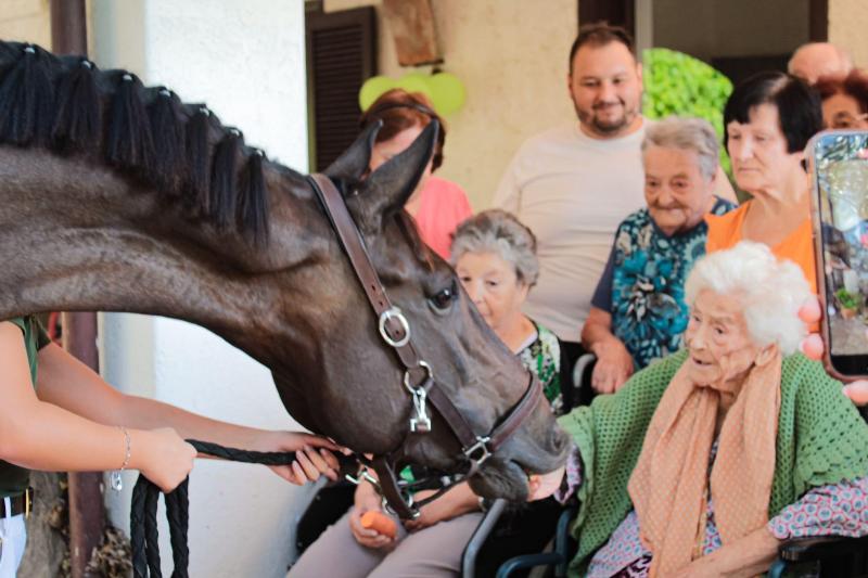 Images Casa di Riposo Villa Adorna