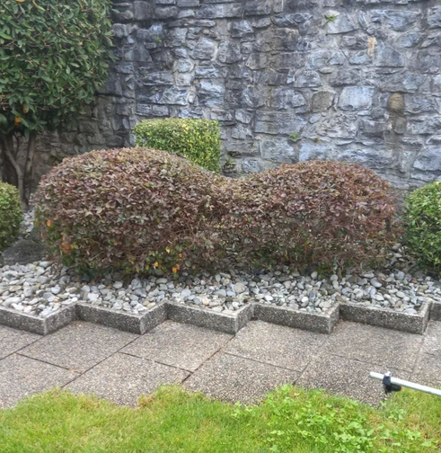 Bilder Vivai San Martino