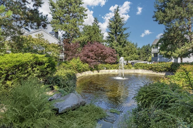 Images Canyon Springs