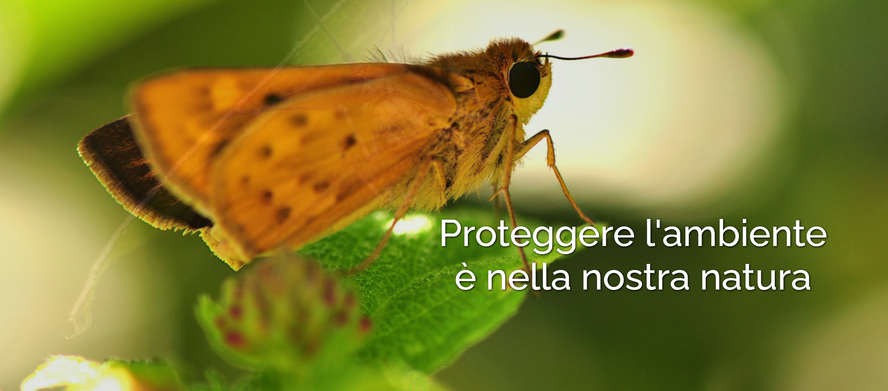 Bilder CIADIT SUISSE SA