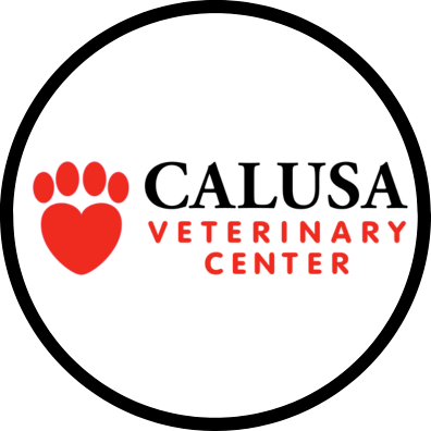 Calusa Veterinary Center Logo Calusa Veterinary Center Boca Raton (561)999-3000