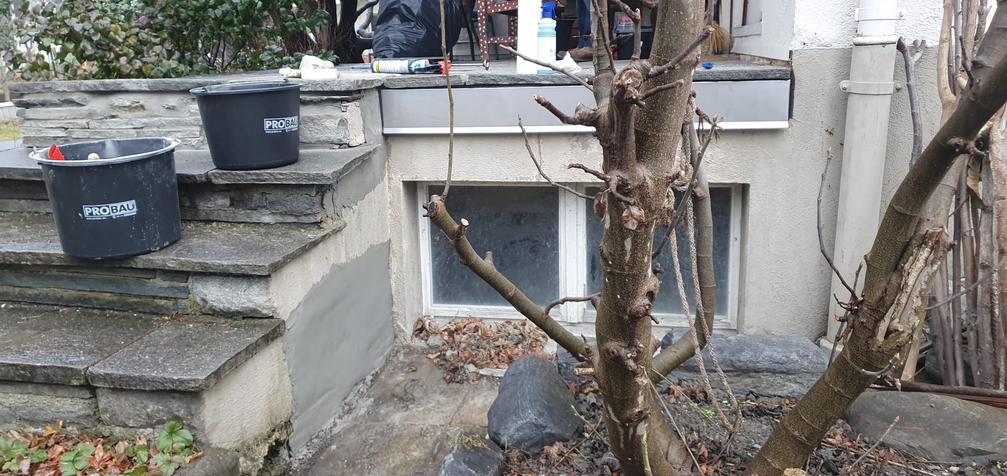 Bilder SP Dienstleistungen