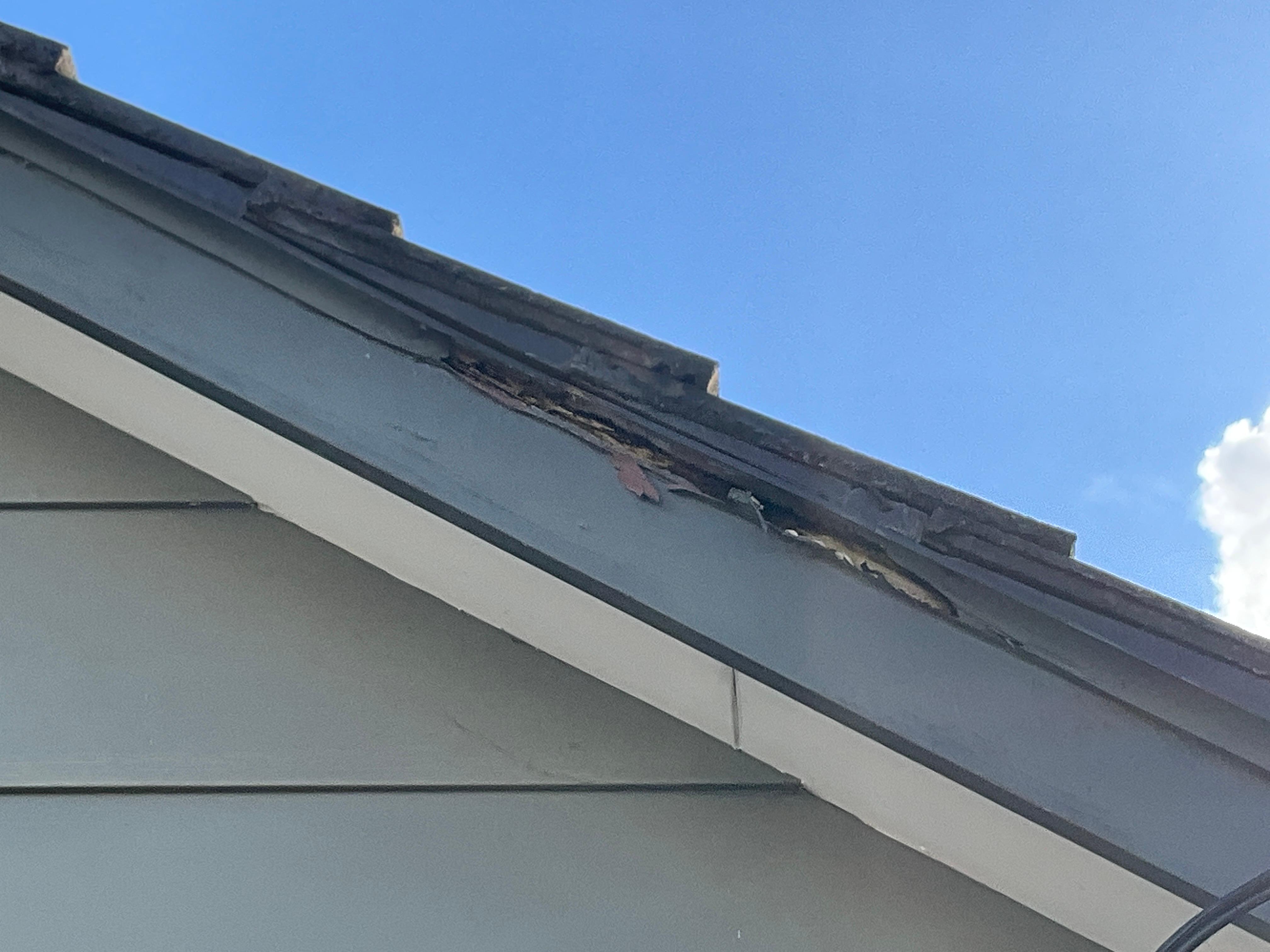 Images ACE Building and Pest Inspection
