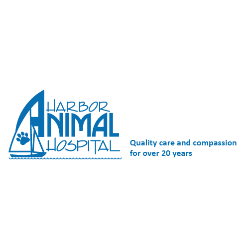 Harbor Animal Hospital