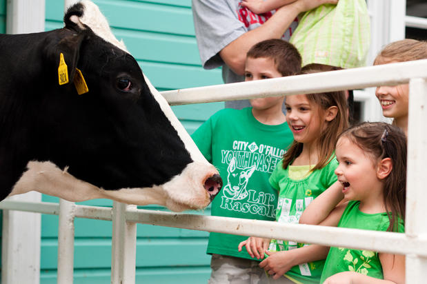 Images Purina Farms