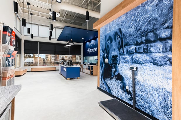 Images CityVet | Frisco Lexington