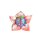 Seeds of Creation