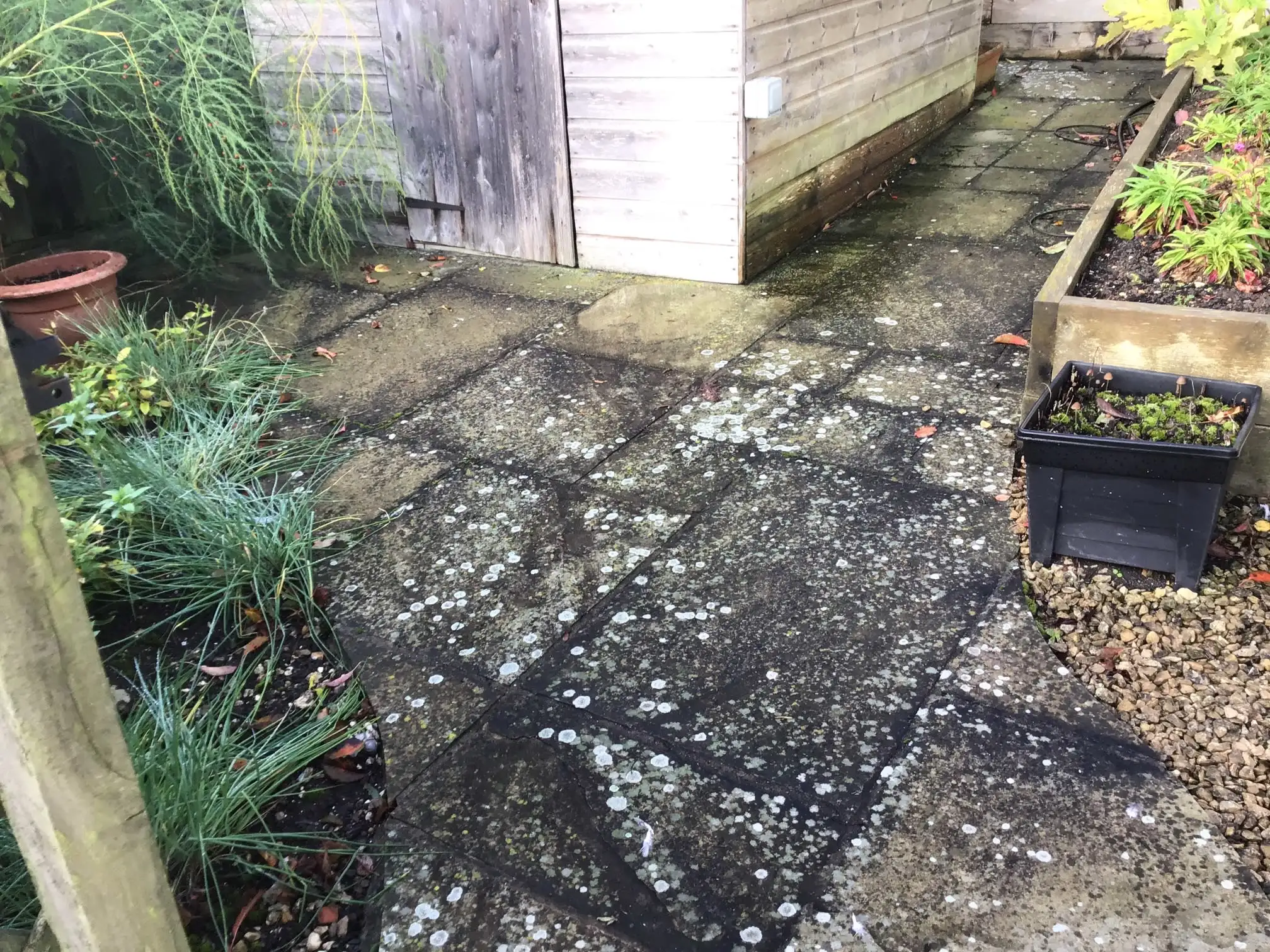 Images The Patio Black Spot Removal Co.Ltd