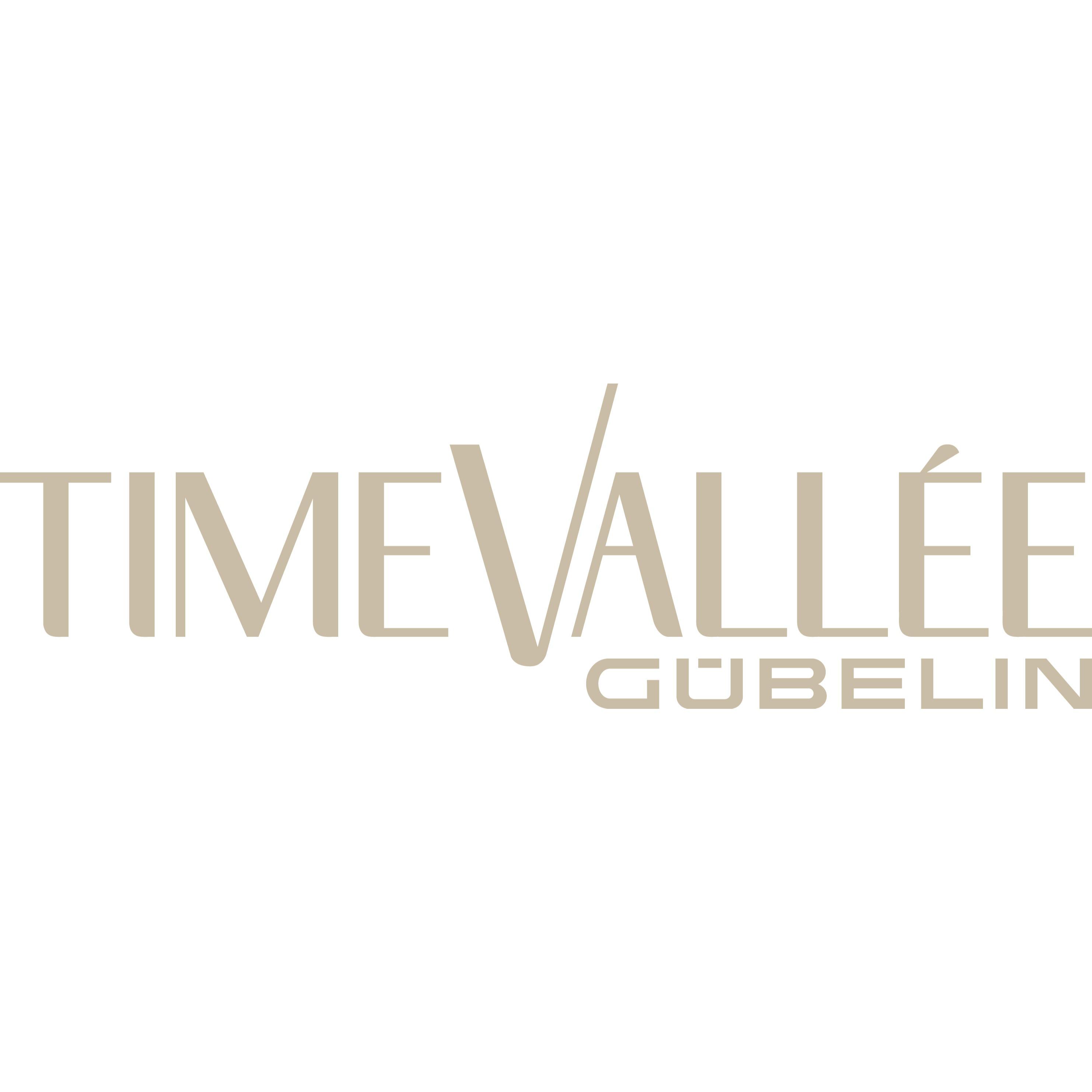 TimeVallée Logo