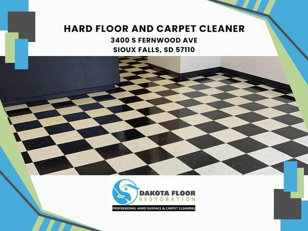 hard floor and carpet cleaner