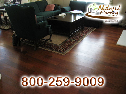 Santos Mahogany Dark Smooth Wood Floor