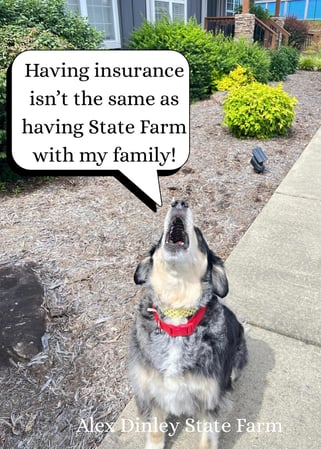 Images Alex Dinley - State Farm Insurance Agent