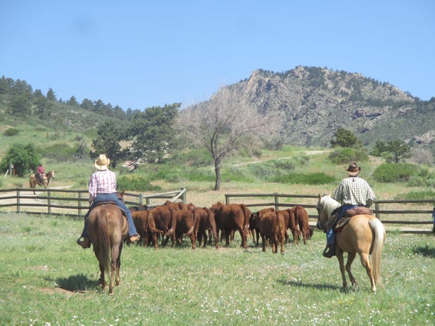 Images Sylvan Dale Guest Ranch & Wedding Venue