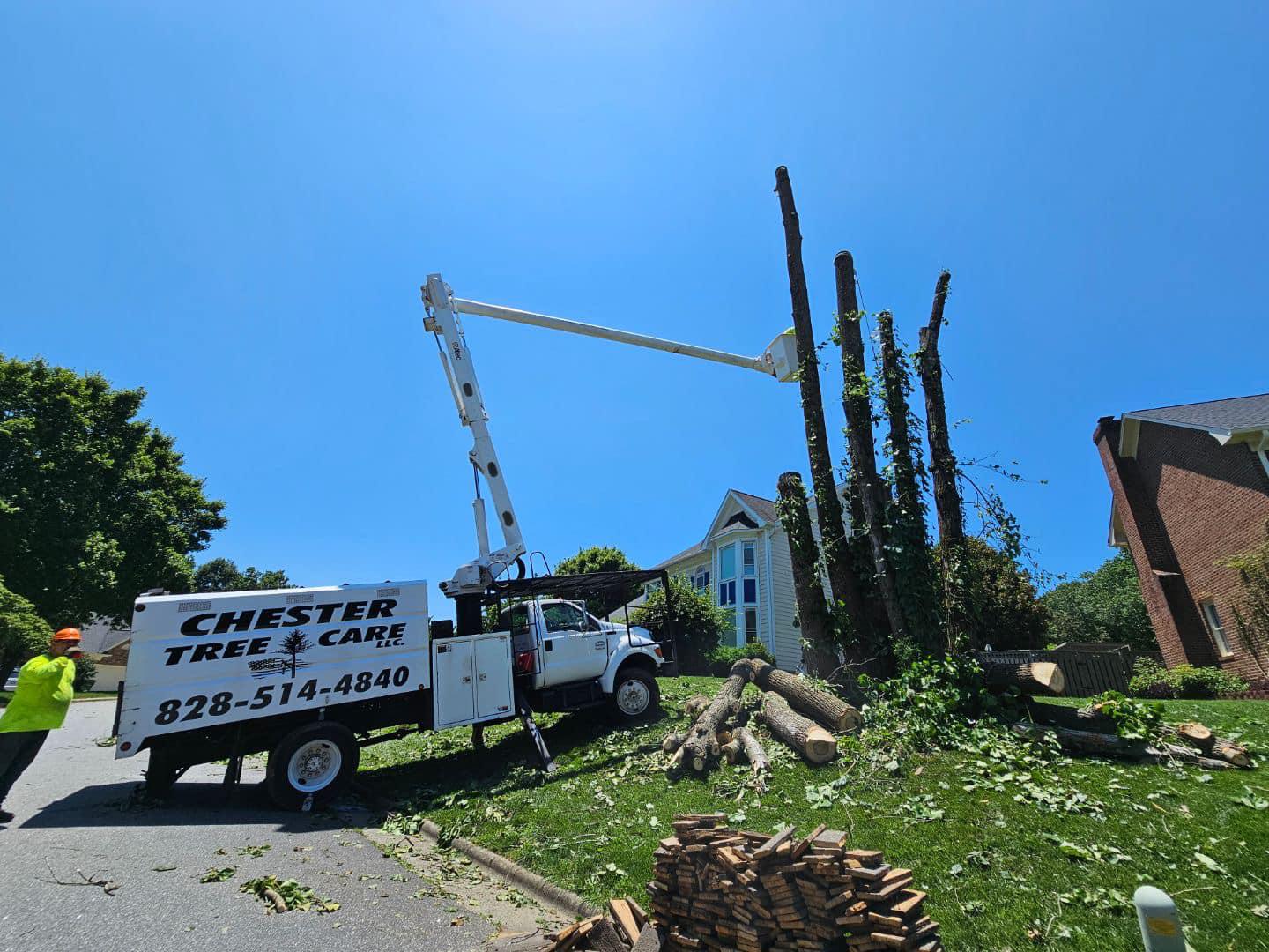 Chester Tree Care is your premier tree company for all your tree care needs. With a team of skilled professionals and a commitment to excellence, we offer a wide range of services, including tree removal, pruning, trimming, and stump grinding. Whether it's residential, commercial, or municipal properties, our tree company delivers reliable and quality tree care solutions tailored to your specific requirements.