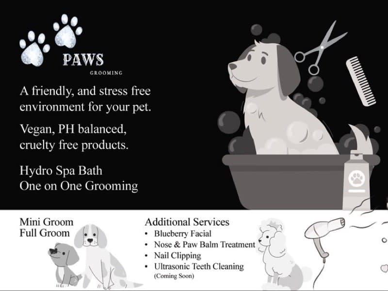 Images PAWS Grooming Ltd