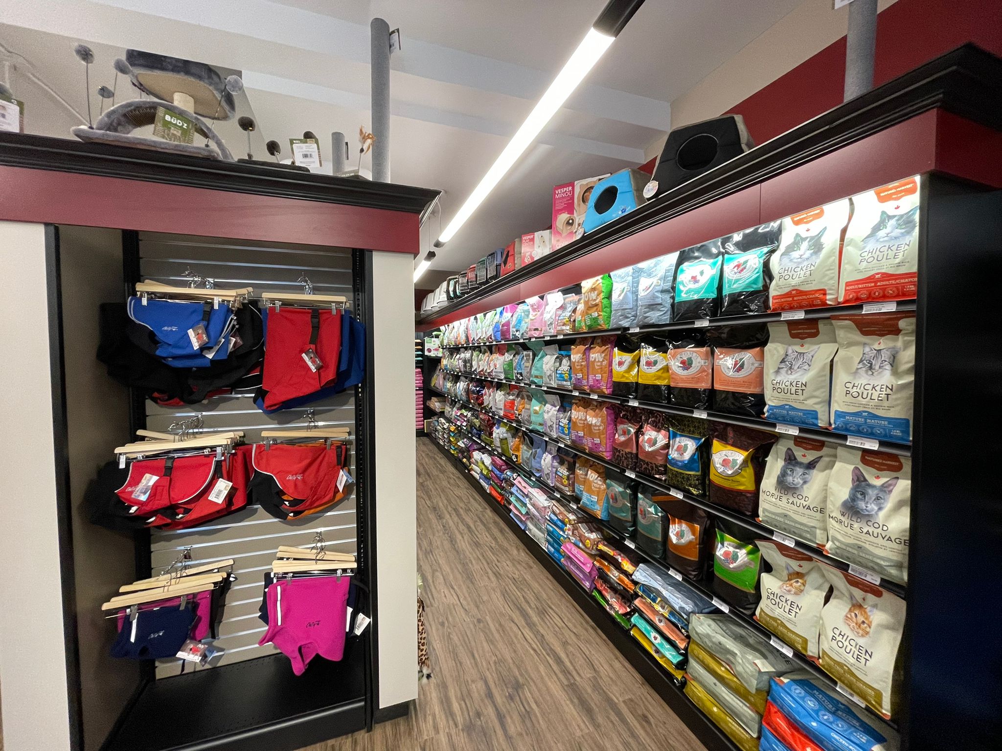 Images Pitou Minou & Compagnons Westmount