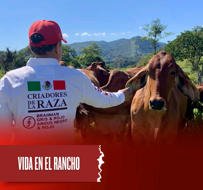 Images Rancho La Marina