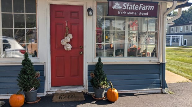 Images Marie Molnar - State Farm Insurance Agent