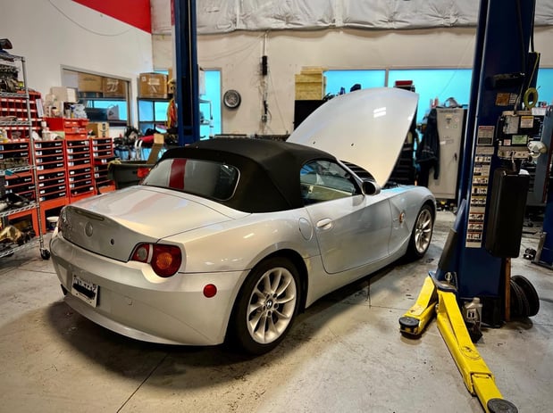 Images Loudoun County Exotics