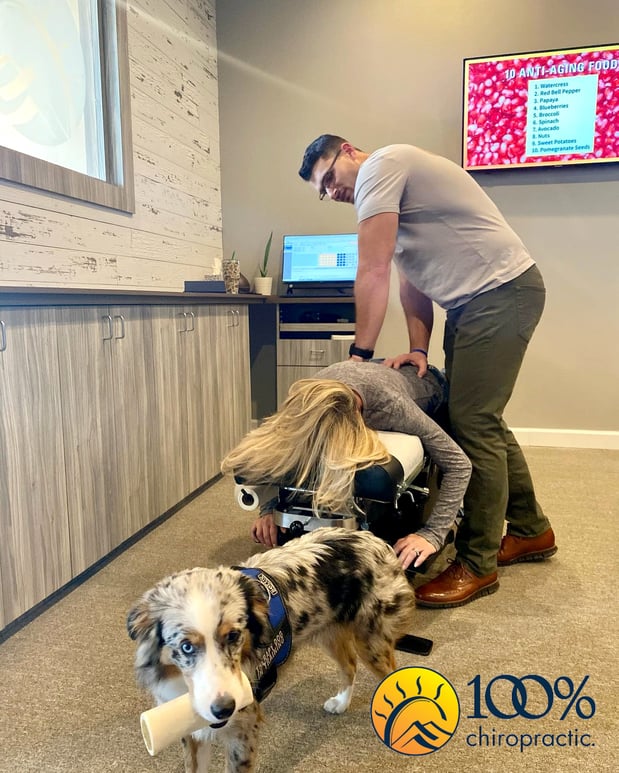 Images 100% Chiropractic - Tampa