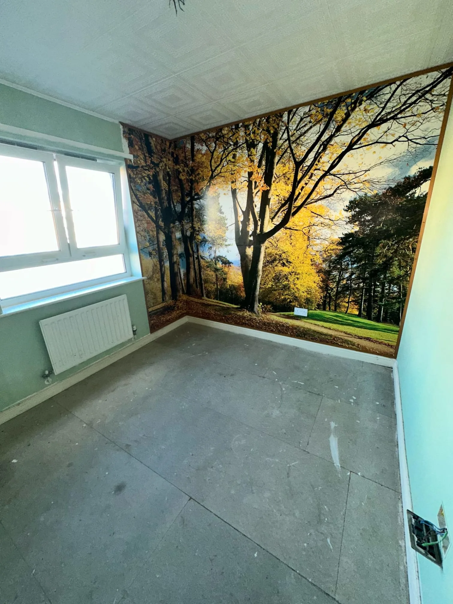 Images First Choice Maintenance Services