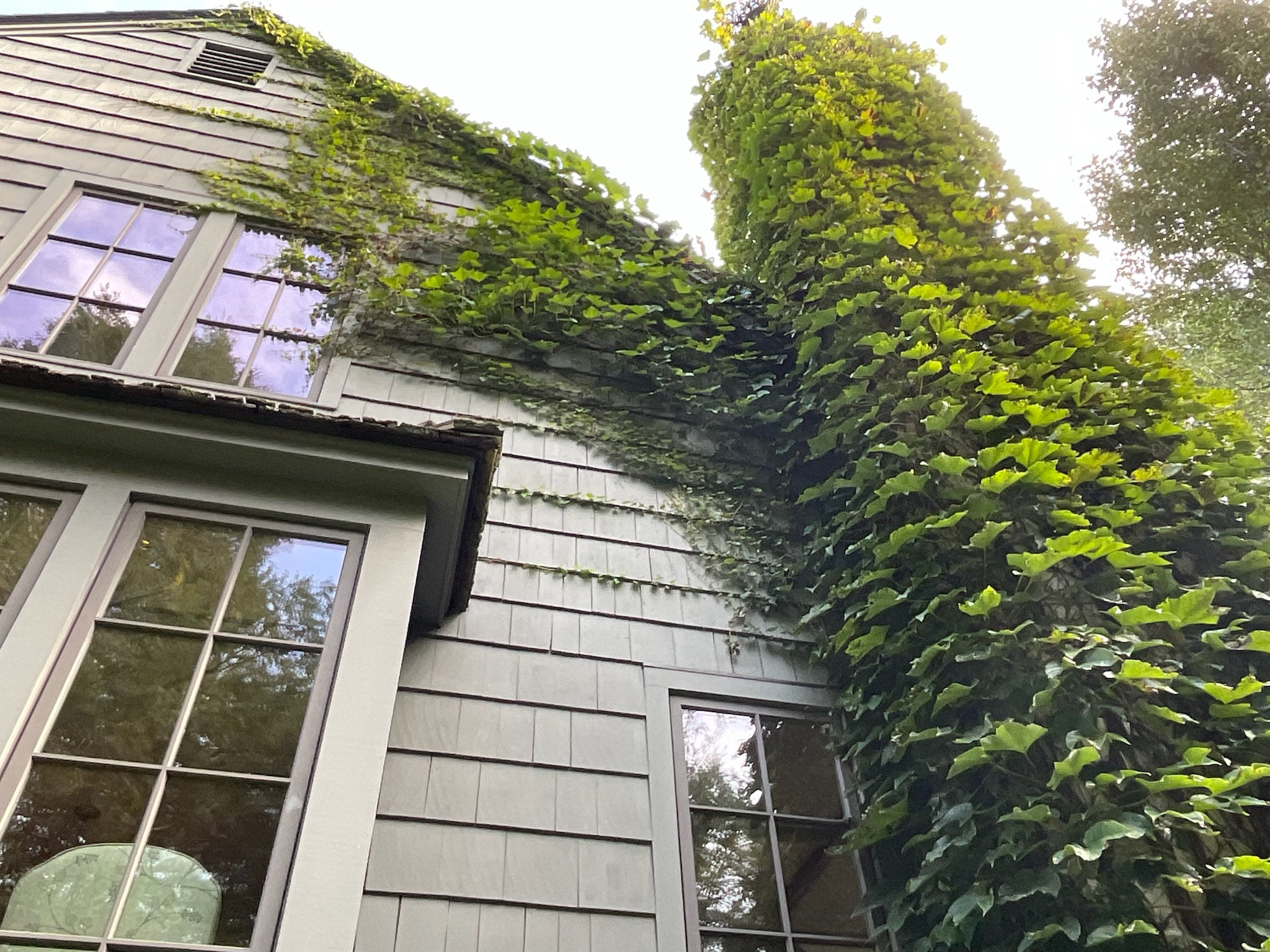 Ivy can block chimney exhaust, encourage pest intrusion, and holds moisture to the house causing rot & mold. Nearwater Property Group Home Inspection recommends keeping it trimmed.