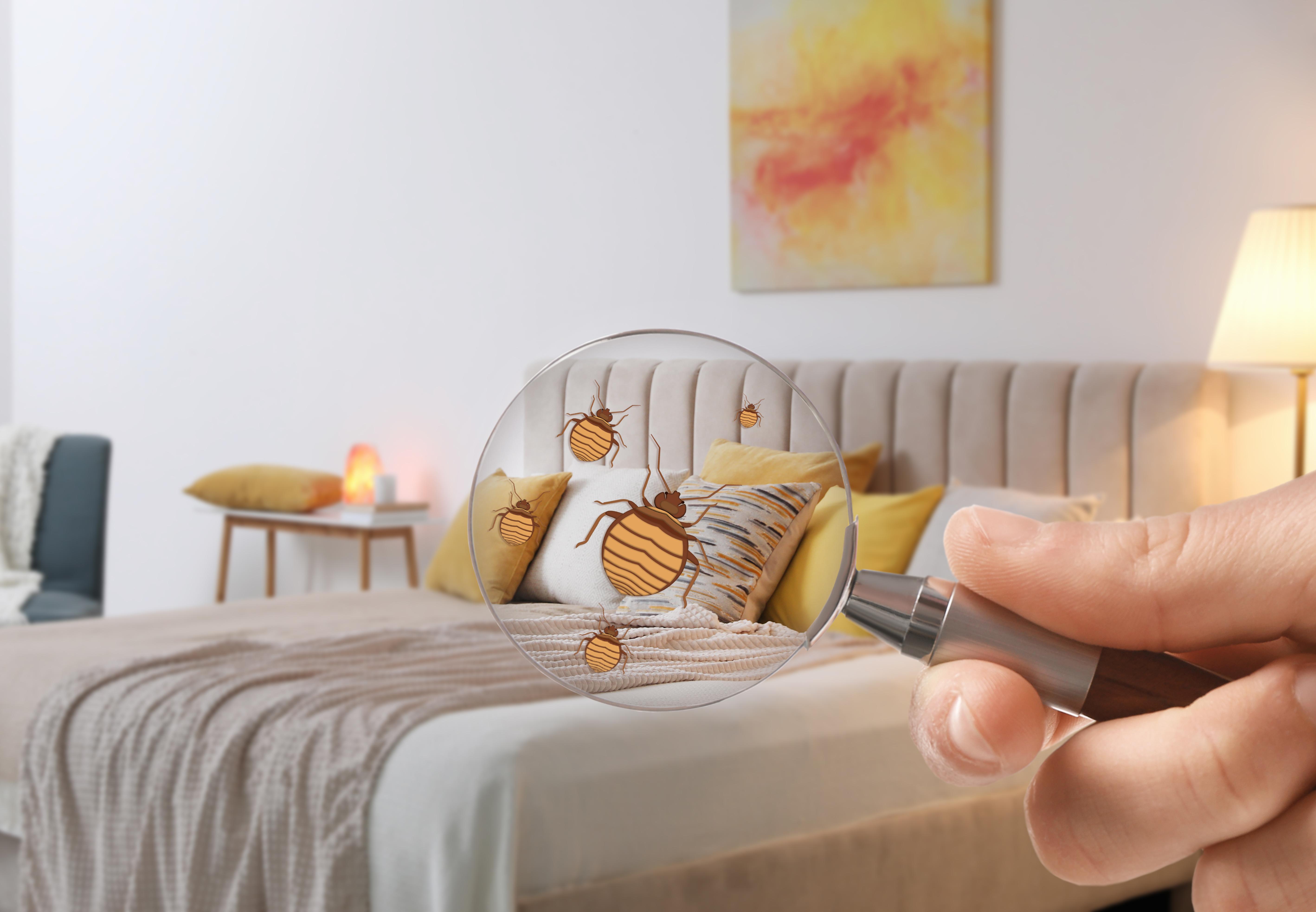 Dead On Arrival Pest Control Service LLC