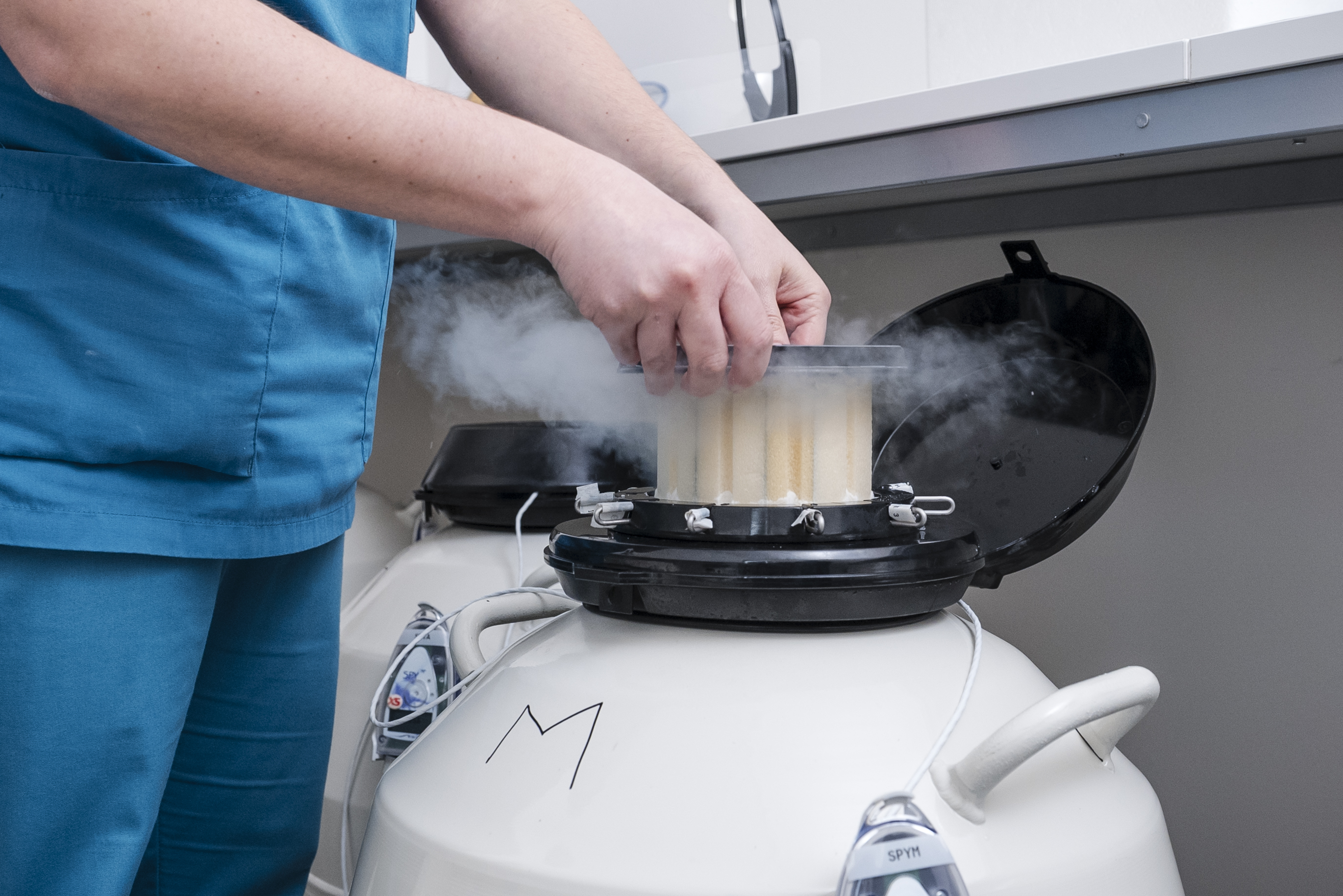 Bilder Next Fertility ProCrea