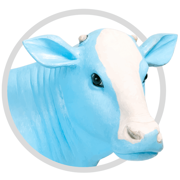 Images Mendocino Farms