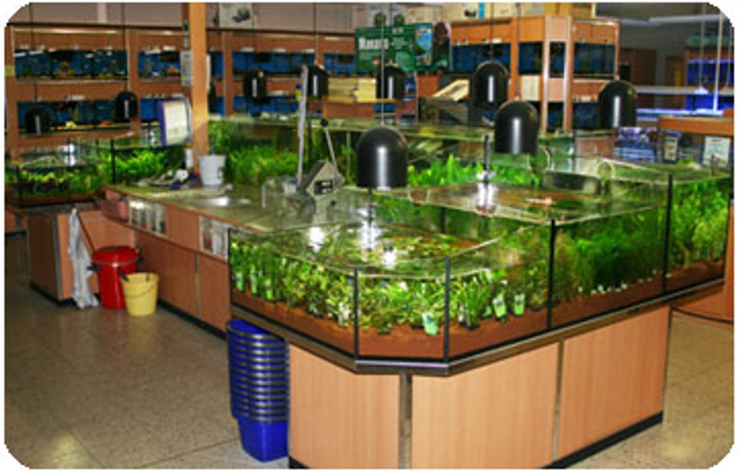 Zoo Rohleder, Dr.-Konrad-Wiegand-Str. 1 in Wörth