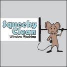 Squeeky Clean Window Washing Logo