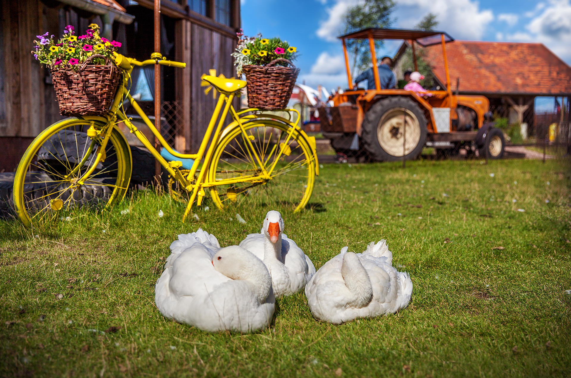 Karls Erlebnis-Dorf - Koserow, Zum Erlebnisdorf 1 in Koserow