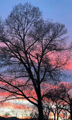 Mogote Meadow Cabins & RV Park Image