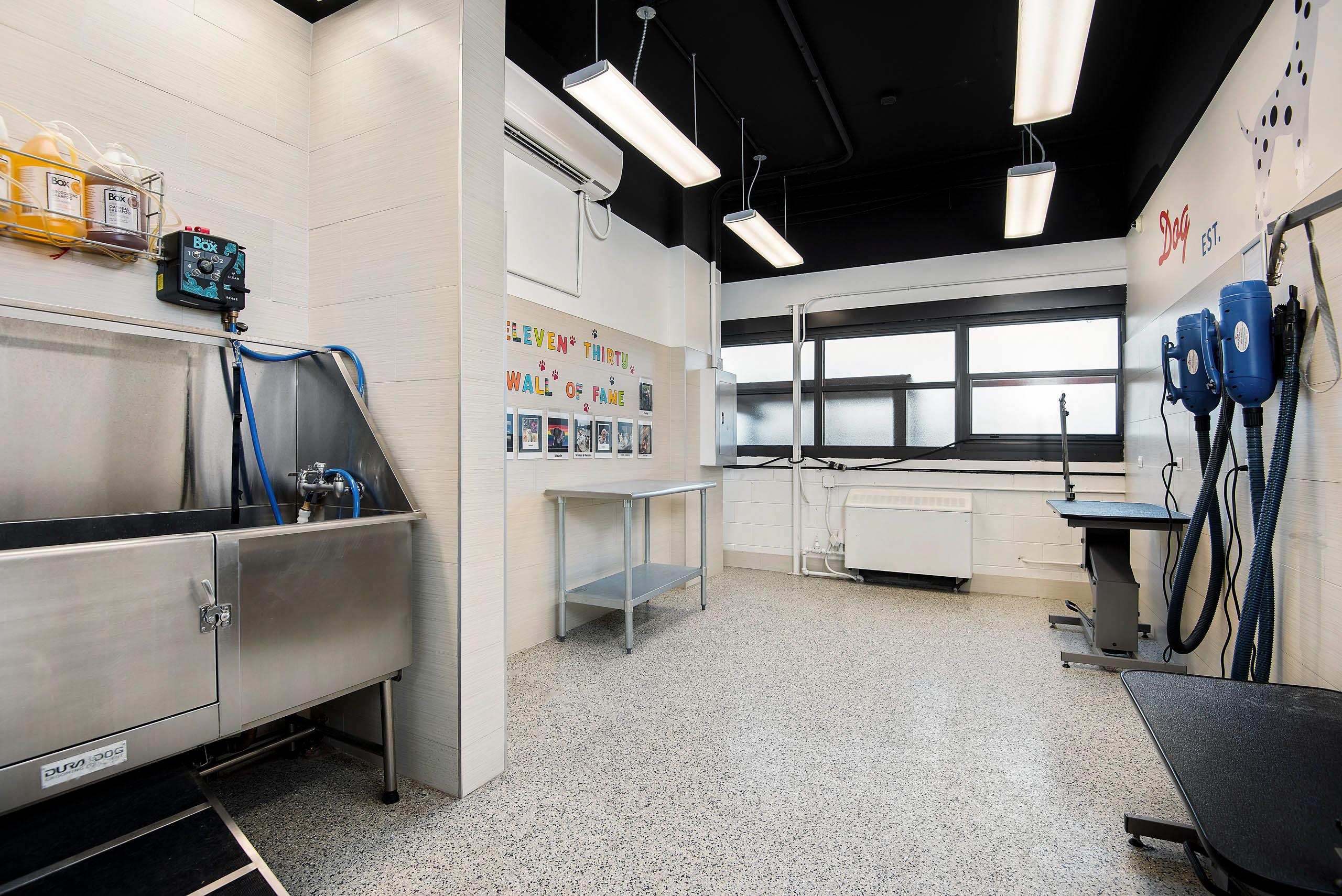Pet spa with wash station and grooming equipment 