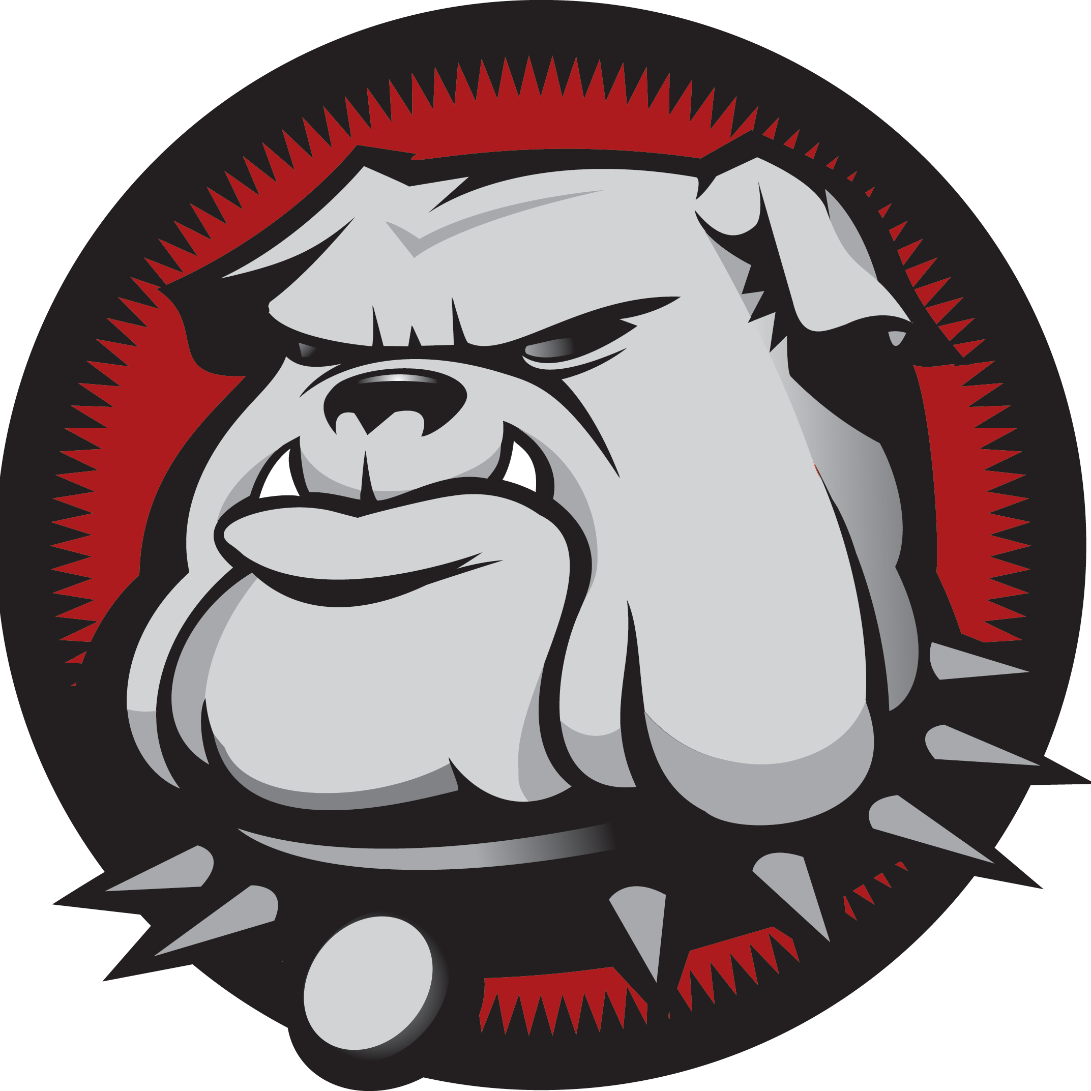 Bulldog Tow Truck Phoenix