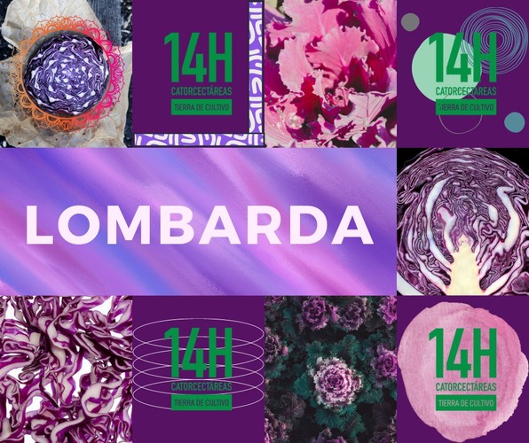 Images Catorcectáreas