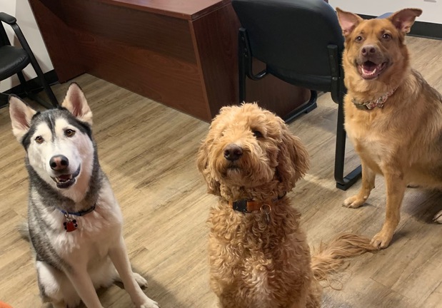 Images Ben Davis - State Farm Insurance Agent