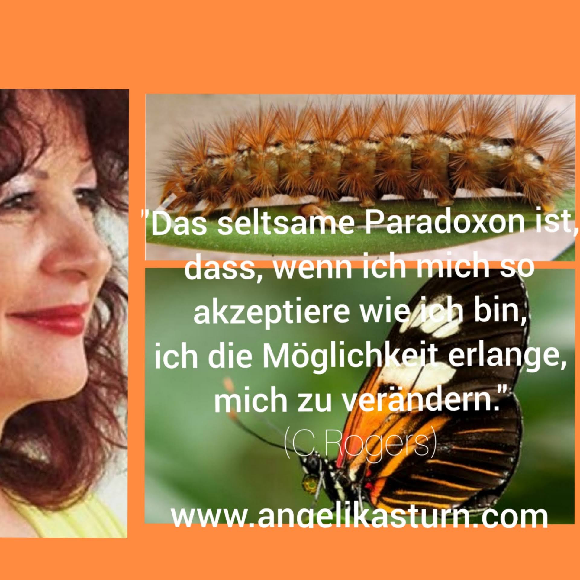 Psychotherapie - Traumatherapie & Supervision Angelika Sturn, Wehlistraße 244/5/22 in Wien