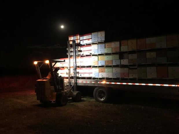 Images Five Star Logistics