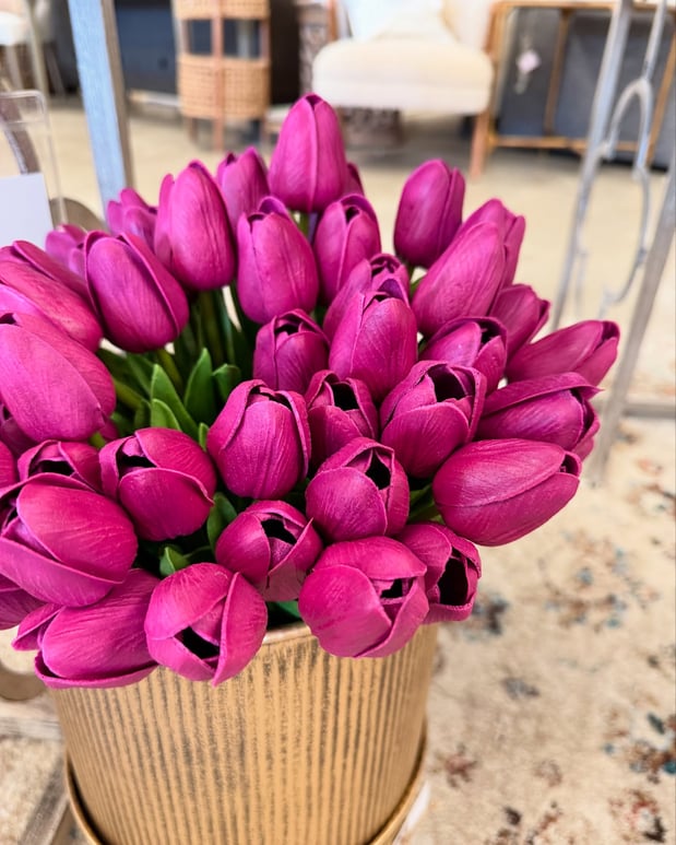 Images Miss Daisy's Home & Decor Co.