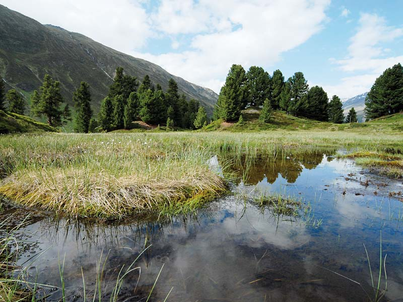 Naturpark Ötztal, Oberlängenfeld 142 in Längenfeld