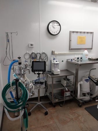 Images VCA Mesa Animal Hospital