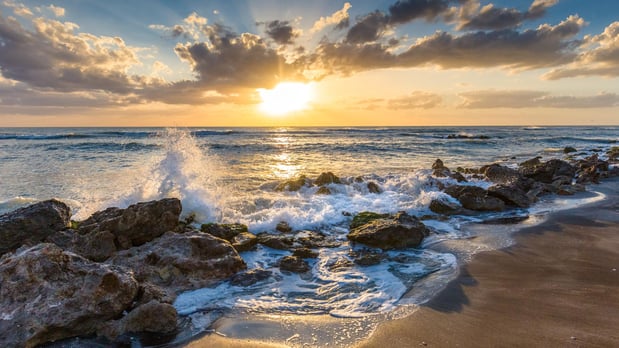 Images Oakbend Wellen Park