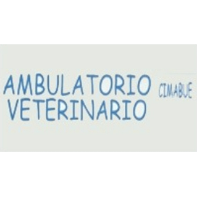 Ambulatorio Veterinario Cimabue - Emergency Veterinarian Service - Firenze - 055 242789 Italy | ShowMeLocal.com