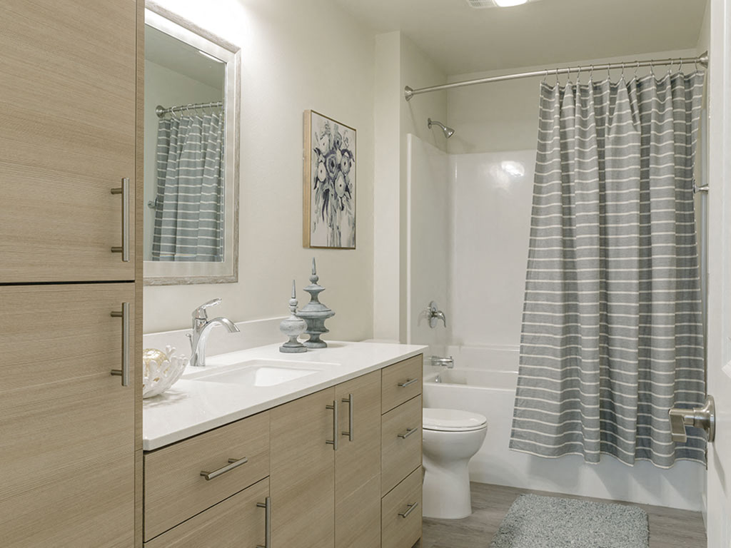 Bathroom Wide Shot 