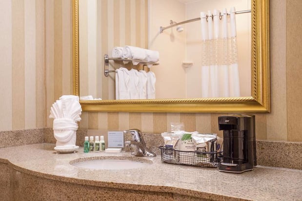 Images Hampton Inn & Suites Chicago Addison