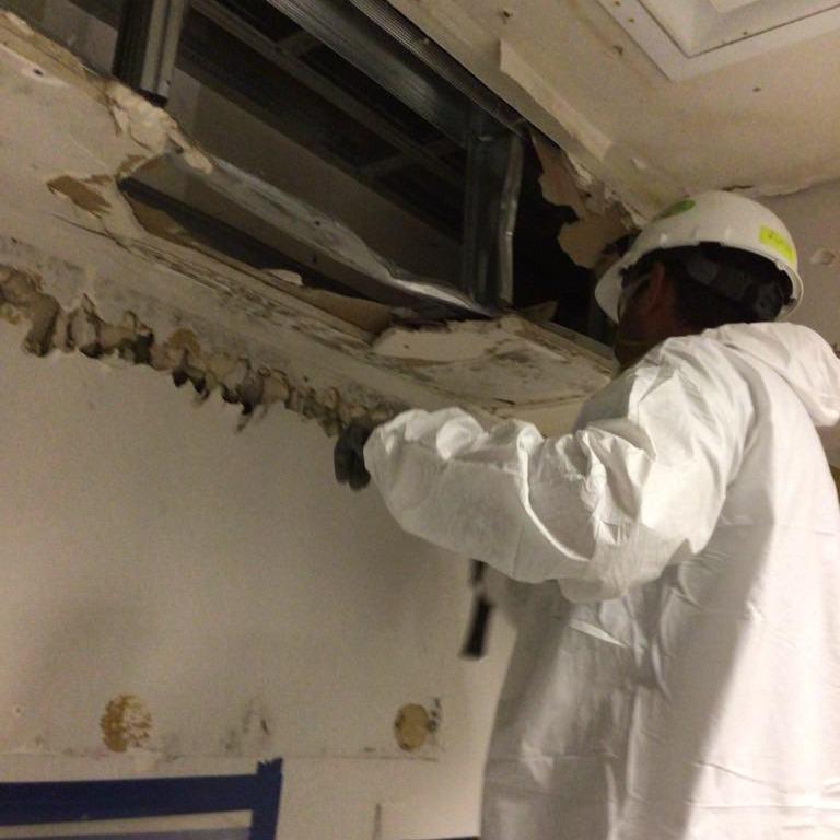 Removal of mold-contaminated  materials