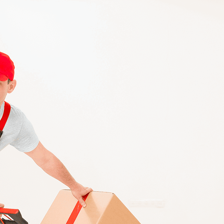 Bild 4 von Speed Transport