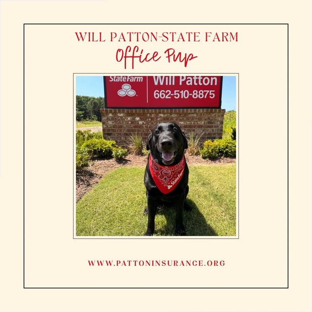 Images Will Patton - State Farm Insurance Agent