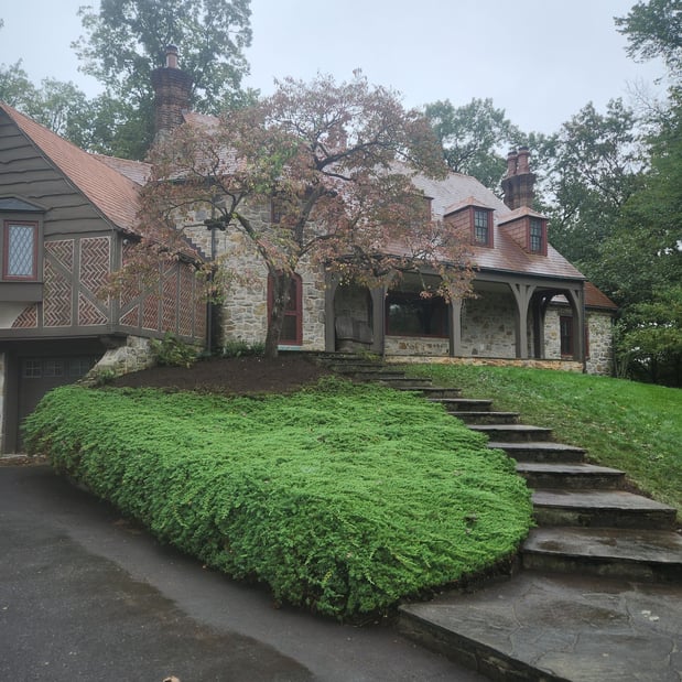 Images Wiley Landscape Design